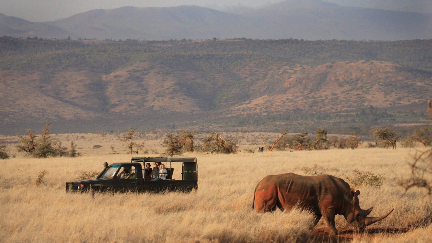 The Difference Between Parks Reserves Conservancies Born Free Safaris